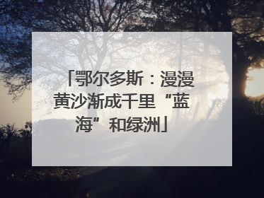 鄂尔多斯：漫漫黄沙渐成千里“蓝海”和绿洲